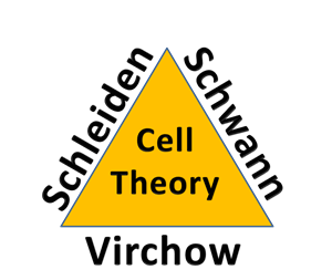 Picture of Intro to cell Part 1