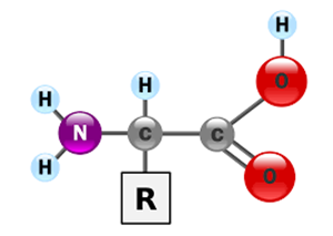 Picture of Proteins 1