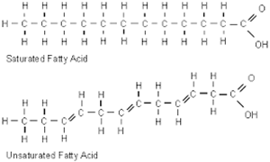 Picture of Lipids 1