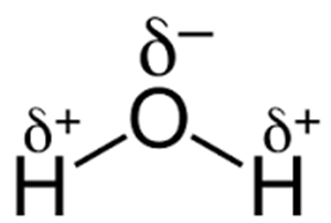 Picture of Water molecule 2