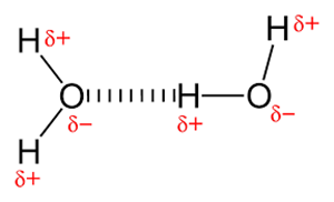 Picture of Lesson 13: Intermolecular Forces