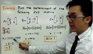 Picture of Lesson 16 - Finding the Determinants of a Linear System