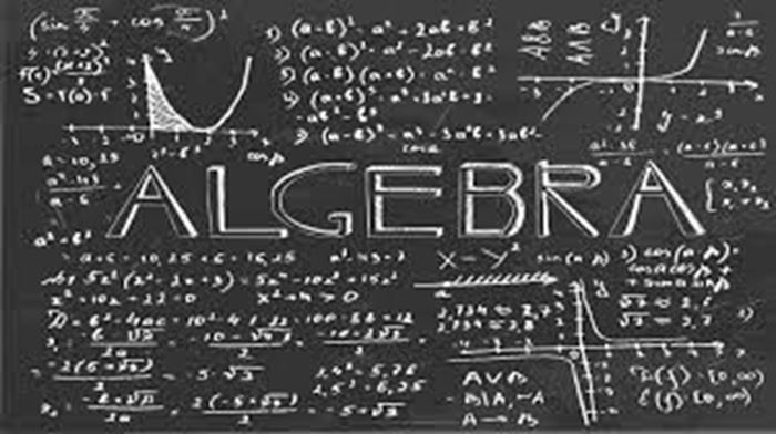 Picture of Introduction to Algebra 1