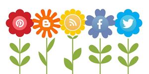 Picture of 29 Netiquette