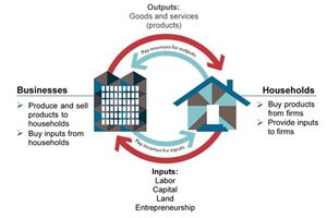 Picture of Lesson 5: Basic Organizations and Economic Institutions