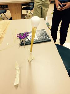 Picture of Module 1: Marshmallow/Spaghetti Challenge