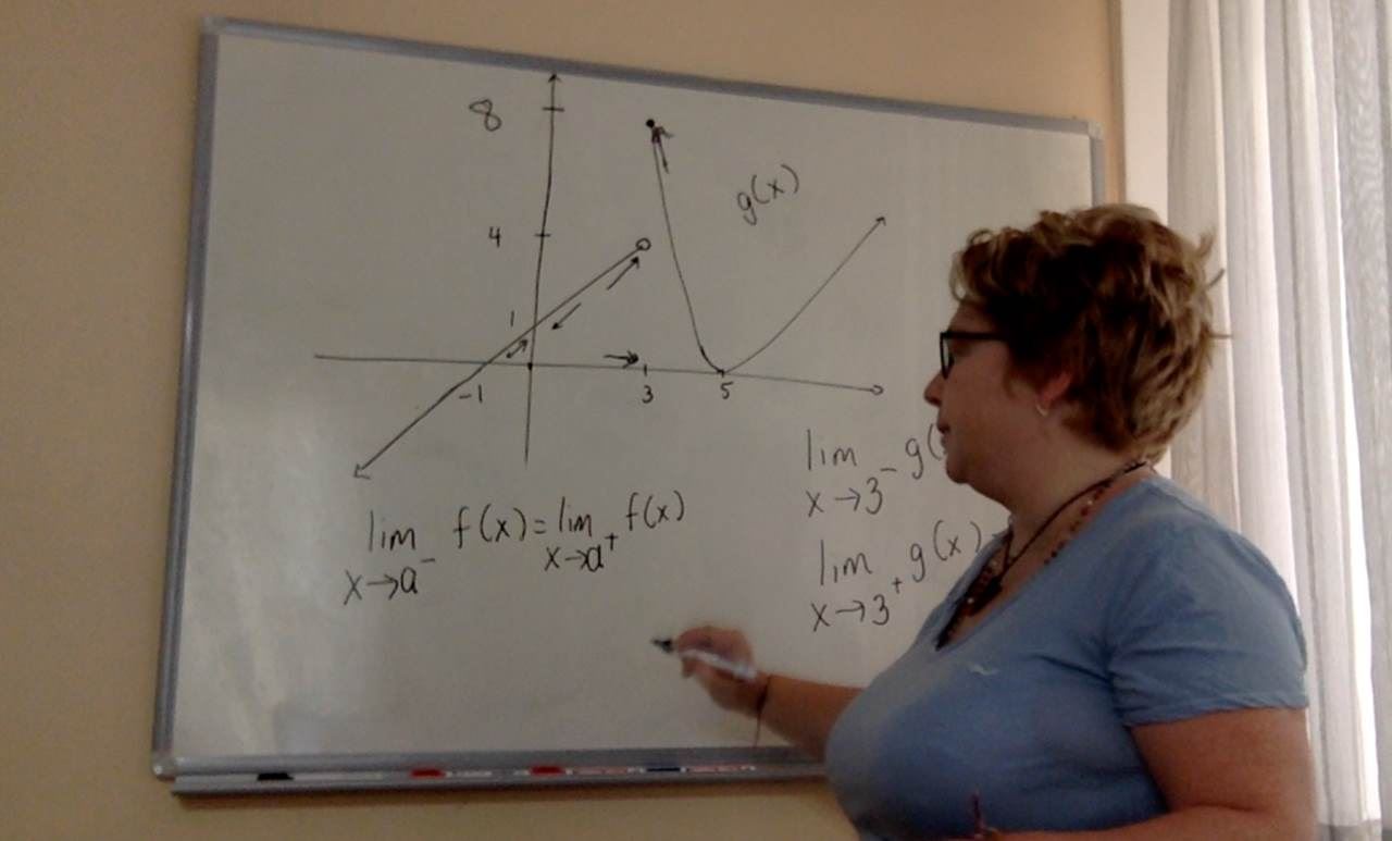 Lernsys Homeschooling Academic Video Courses Precalculus For 12th Grade With Mrs Ozbay