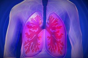 Picture of Lesson 26B: Respiratory System