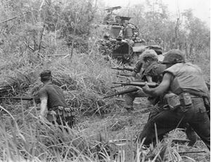 Picture of Vietnam War in Pictures