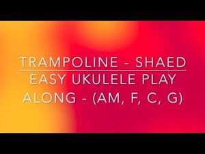 Picture of Play Along #7 - Trampoline (Shaed)