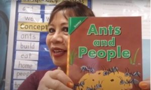 Picture of From A-Z Ants and People