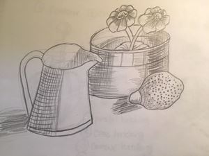 Picture of Line Drawing Still Life