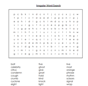 Picture of Irregular Spelling Exercises