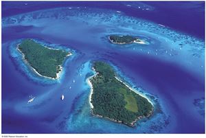 Picture of L13: Physical Geography - The Caribbean