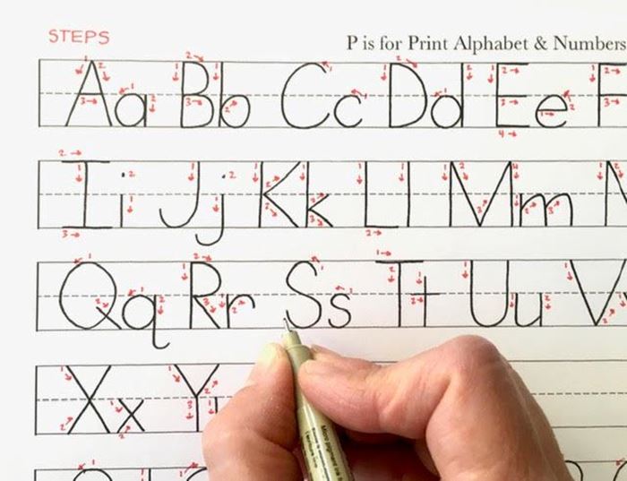 Picture of P is for Print Handwriting Class for Grades K to 3