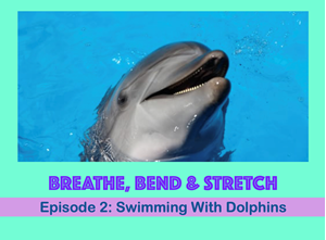 Picture of Episode 2: Swimming With Dolphins
