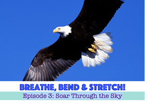 Picture of Episode 3: Soar Through The Sky
