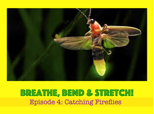 Picture of Episode 4: Catching Fireflies