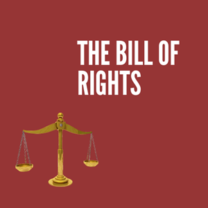 Picture of Lesson 45: The Bill of Rights