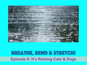 Picture of Episode 8: It's Raining Cats & Dogs