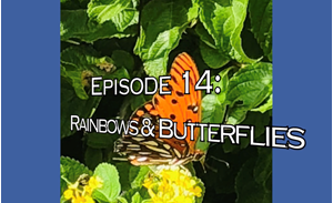 Picture of Episode 14: Rainbows & Butterflies