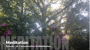 Picture of Episode 28: Concentration On Meditation