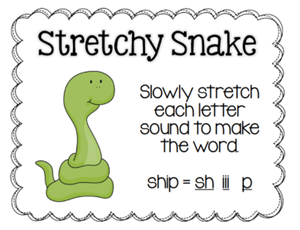 Picture of Decoding: Stretchy Snake Lecture