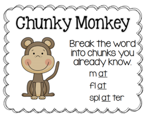 Picture of Decoding: Chunky Monkey Lecture