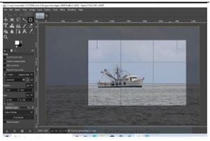 Picture of Cropping and the Crop Tool