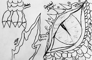 Picture of Drawing the Dragon Eye Color Wheel