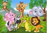 Picture of Zoo Phonics