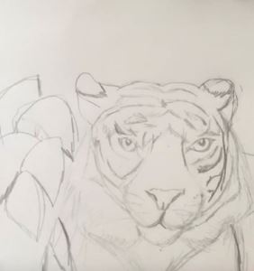 Picture of Tiger Drawing Option: Pointillism and Animal Painting