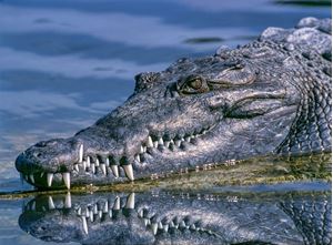 Picture of Managing Anger