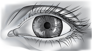 Picture of Lesson 14: Drawing Parts of the Face