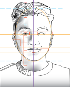 Picture of Lesson 15: Drawing the Face